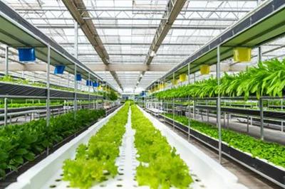 强化农业科技创新与应用的内容,需实施现代种业科技支撑等行动