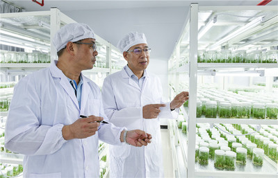 锻造农业“芯”,福建打响种业翻身仗