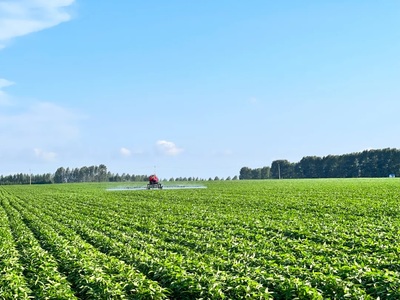 北大荒集团育种培“芯”打好种业“翻身仗”