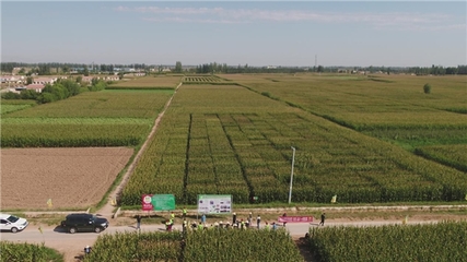 “内蒙古巴彦淖尔市科河种业”入围《信用中国》栏目