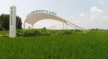 【2023全国主流媒体德阳行】德阳:强产业、富农民、守粮仓,朝着振兴之路向“阳”而生