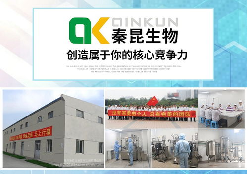 工厂定制食品压片糖果oem代加工定制30万片起定做圆形片剂维生素