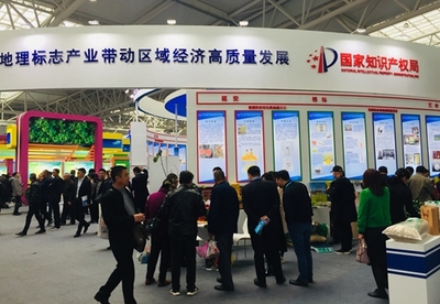 第26届中国杨凌农业高新科技成果博览会开幕