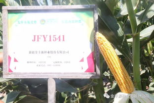 愿广交天下好友 金丰源种业真诚待您前来