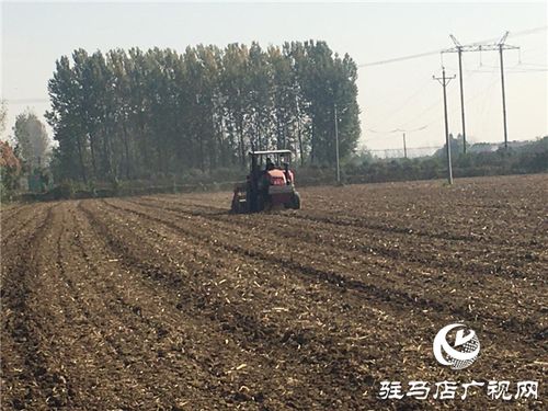 吨源种业召开 福高2号 播种现场会