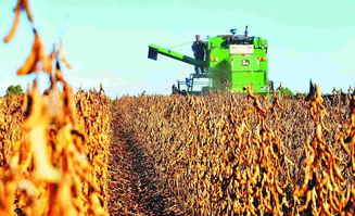 国家大豆产业技术体系首席科学家韩天富 大豆种业挑战与机遇并存