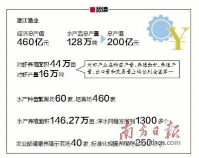 全球4万余客商齐聚湛江,“买全球、卖全球”盛会让中国水产走向世界
