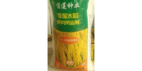 厂家批发水稻种子 水稻种子 农作物高产抗病强种子