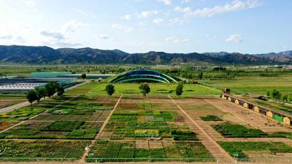 内蒙古草种业技术创新中心获批!加快向“国家级”目标迈进