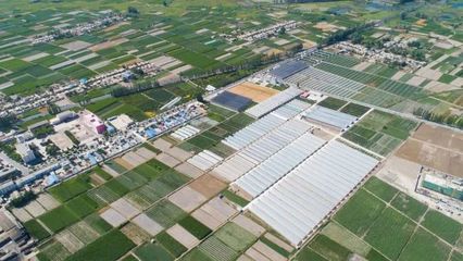 地展征集!第五届酒泉现代种业博览会来了