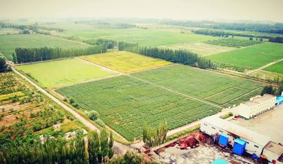 为种子保驾护航--新疆金丰源种业股份