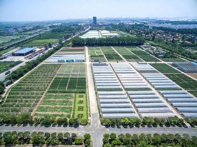 2017武汉种业博览会亮点纷呈!种博会工作步步高!