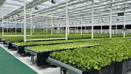 文山州这里现代农业种业产业园建设项目