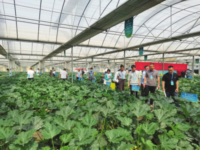 种业攻关 促进发展