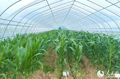 “靠”好山、“吃”好海 福建省政协农业农村委开展渔港、种业发展调研