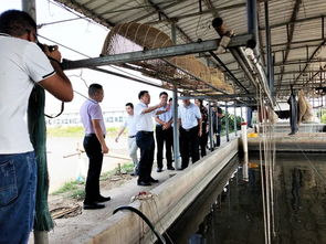 省农业农村厅副厅长高庆营一行 到南海九江调研水产种业