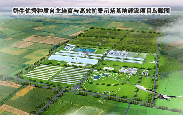 山东种业集团:培厚新动能,努力打造"中国芯"|强信心 稳经济 促发展