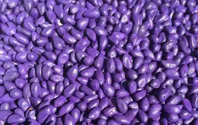 我国种衣剂市场产品布局及未来重点关注的化合物