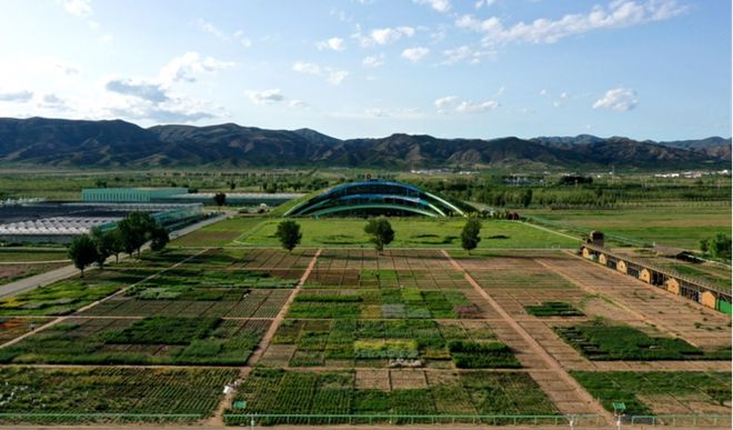 蒙草生态上市十周年:种业为本、科研当先