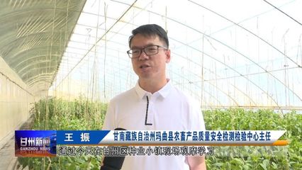 全省农业社会化服务现场推进会与会人员在我区观摩