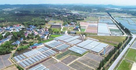 长沙县启动第一批种业小镇建设