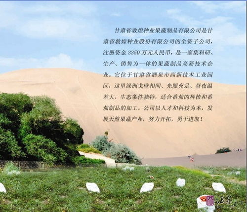 甘肃省敦煌种业果蔬制品新品上市啦