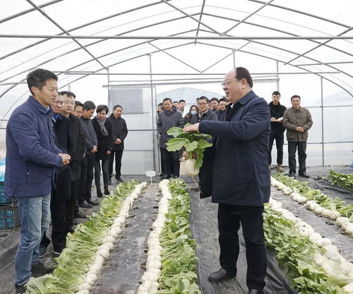 彭佳学调研 三农 工作凤凰网宁波