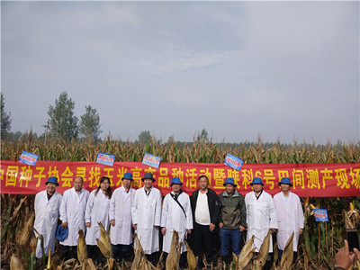 丰乐种业:释放创新活力 跑出科研“加速度”