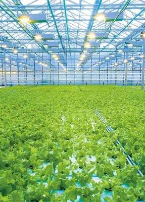 酒泉:蝶变中的种业强市