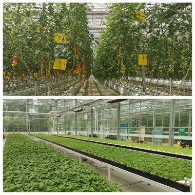 用心耕耘 以“芯”前行 ! 2022武汉种博会6月2日“火热上线”