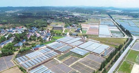 长沙县启动第一批种业小镇建设 助力现代农业发展