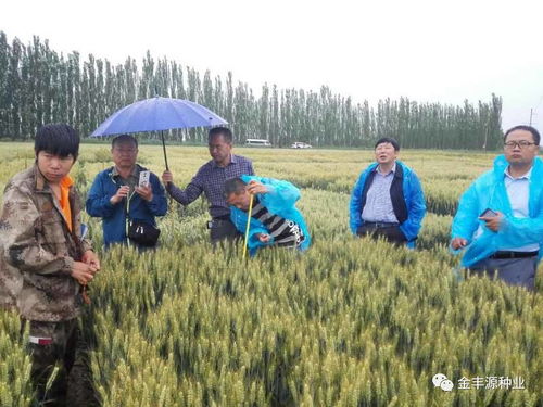 种业核心竞争力与未来发展核心探析