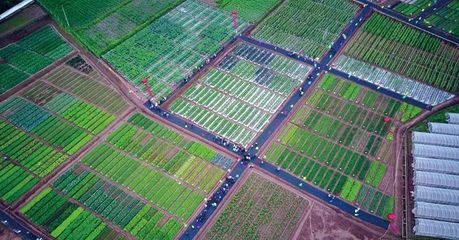 2019中国云南蔬菜种业博览会 开启种业新篇章