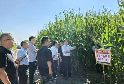 郑州市农业农村局来我市调研种业工作 共话种业发展新篇章