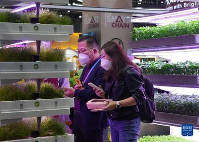 进博会上的农业革命 集装箱里种菜看种业创新