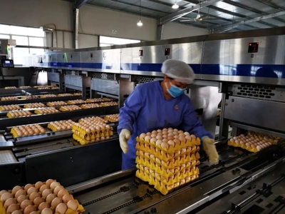 广州入选国家级名单 种业发展获国家认可