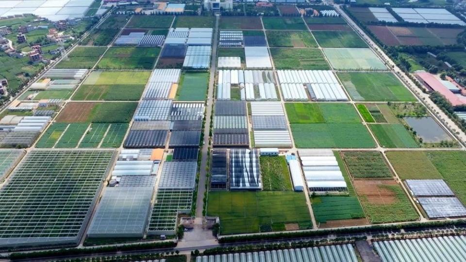 云南省全力发展农业新质生产力