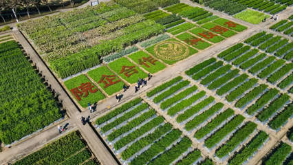 广东种业,乘风破浪