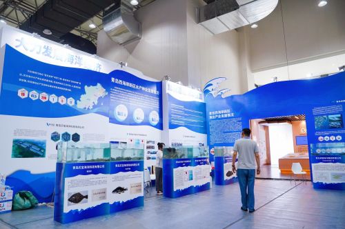 做好 蓝色种业 大文章 西海岸新区水产企业亮相2024青岛种业博览会