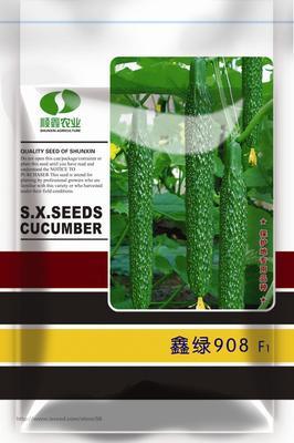 供应鑫绿908黄瓜,北京顺鑫农业股份耘丰种业, 中国蔬菜网产品库