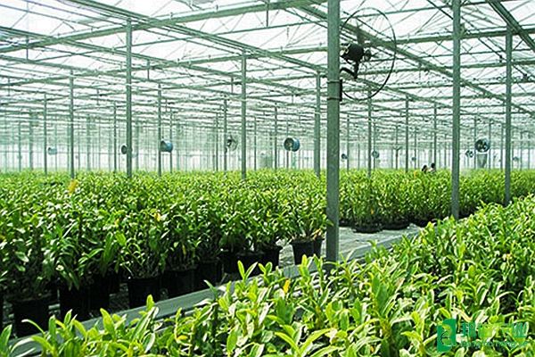 浙江海宁森禾种业温室环境智能控制系统 - 邦伯农业 - .