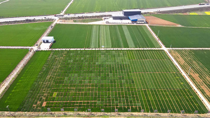 【牢记嘱托 建成支点】扶轮农业:推动种业创新 加速科技成果转化