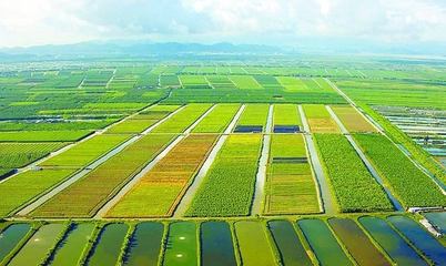 泰安汶农种业有限责任公司