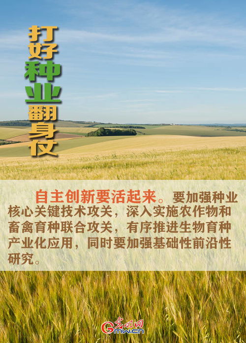 图说 打好种业翻身仗,看农业农村部怎么说