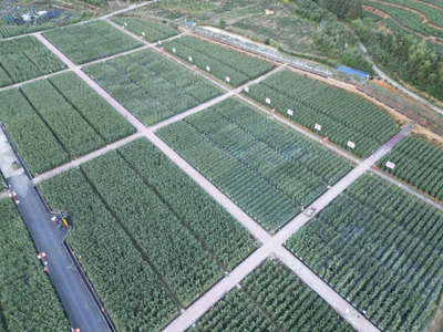 福建圆旺元种子集团蔬菜种业科技小院成功入围中国农技科技小院名单