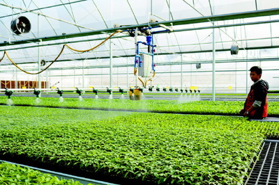 立法为加快广东种业发展保驾护航