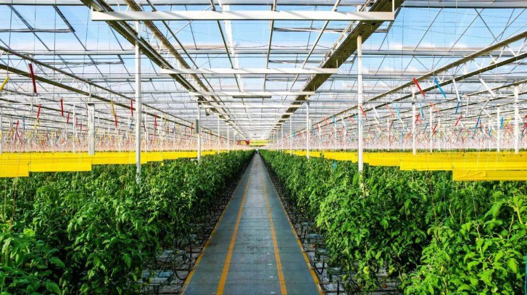 政策导向|首提1.4万亿斤粮食产量新目标,有何依据,如何实现?_农业_生