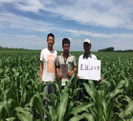 新产品 新伙伴 新宏图