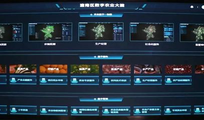 潼南种业振兴行动 打造现代农业“芯”动力