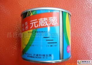 昌邑市良禾种业 优质元藏葱，农副产品的卓越选择